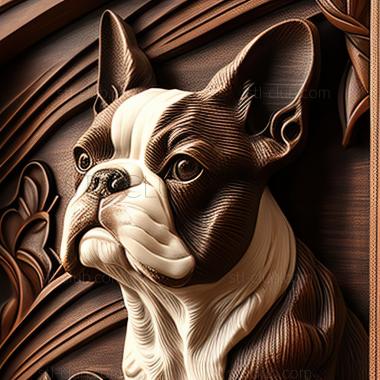 3D model st Boston Terrier dog (STL)